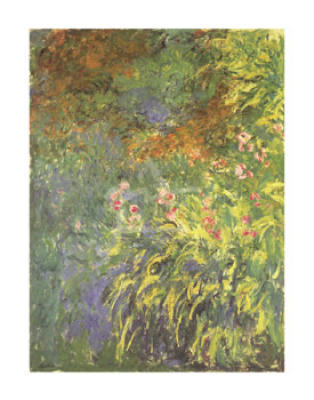 Claude Monet - Irises 1914-17