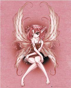 ODM rose Fairy (Fee)