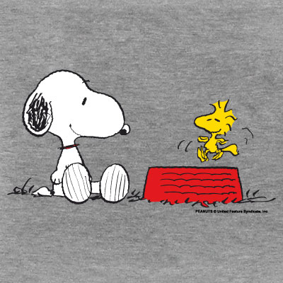 The Peanuts - Snoopy und Woodstock