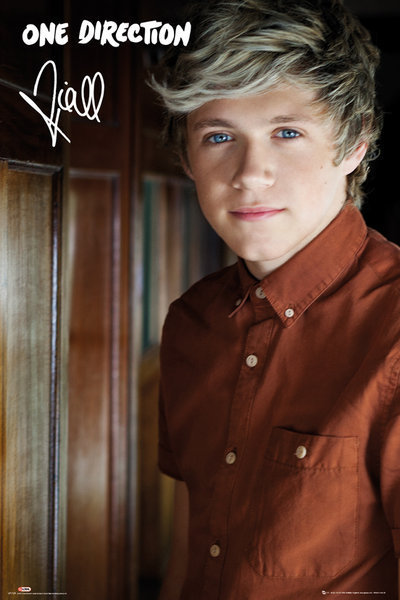 one direction - Nieall Portrait