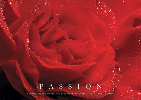 Passion (Rose) - Motivation
